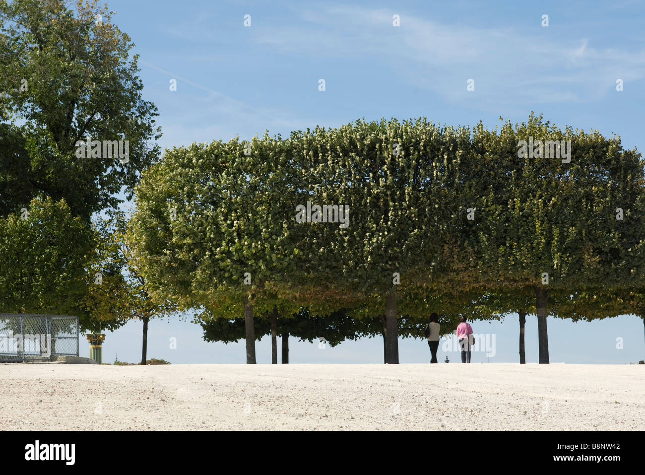 France, Paris, people walking under trees in park Stock Photo