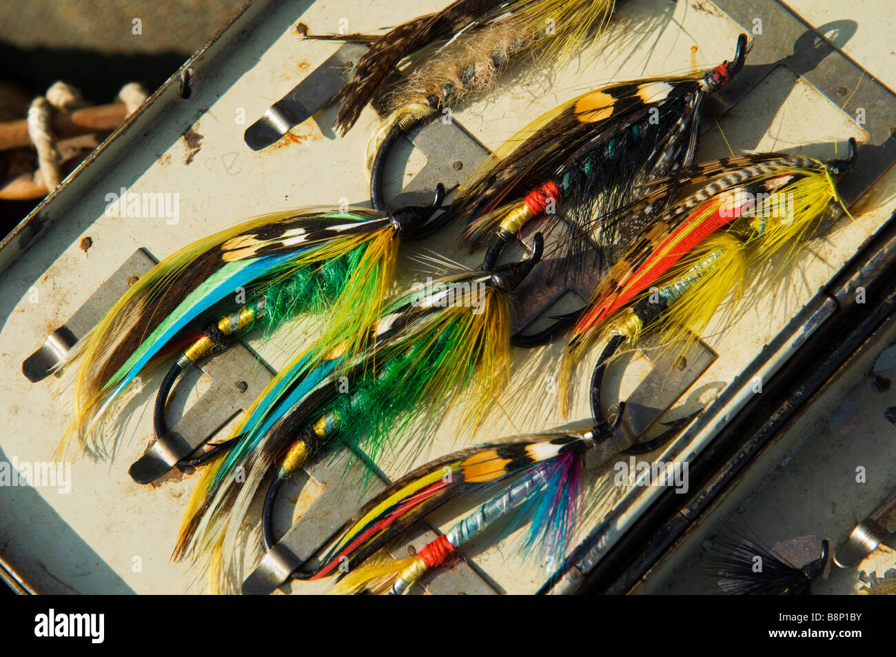 Wales Wrexham Traditional salmon flies in a fly box Stock Photo