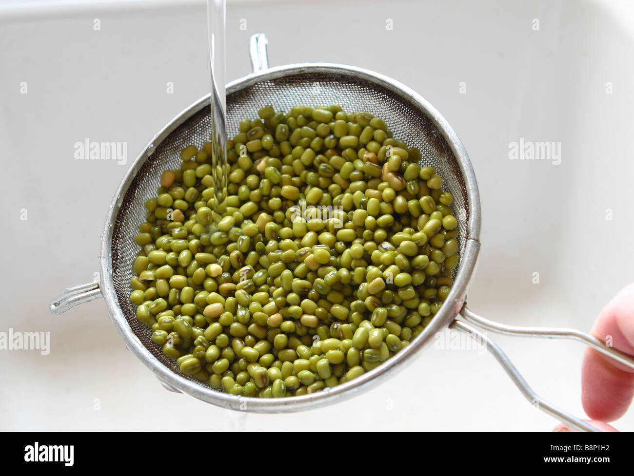 Mung Beans preparation being rinsed in water after being soaked