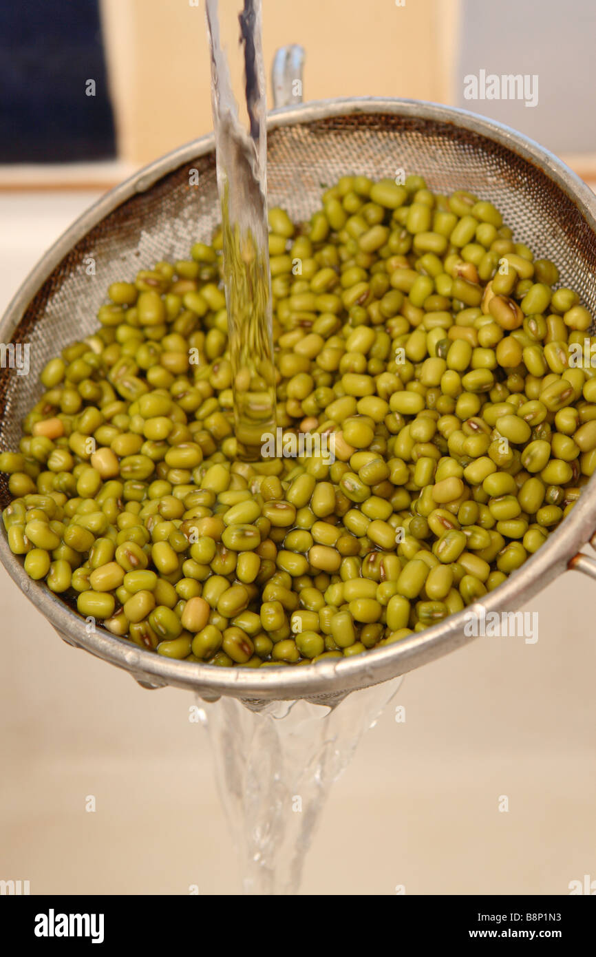 Mung Beans preparation being rinsed in water after being soaked
