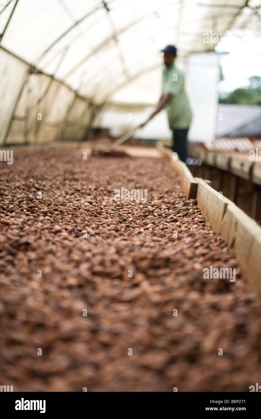 Cocoa processing factory, Dominican Republic Stock Photo Alamy