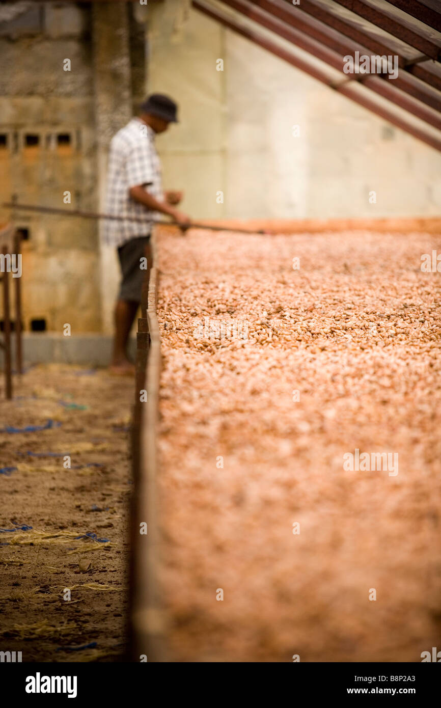 Cocoa processing factory, Dominican Republic Stock Photo Alamy