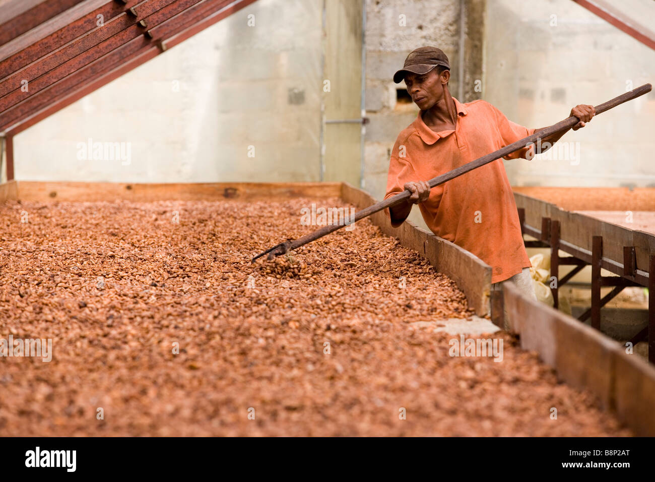 Cocoa processing factory, Dominican Republic Stock Photo Alamy