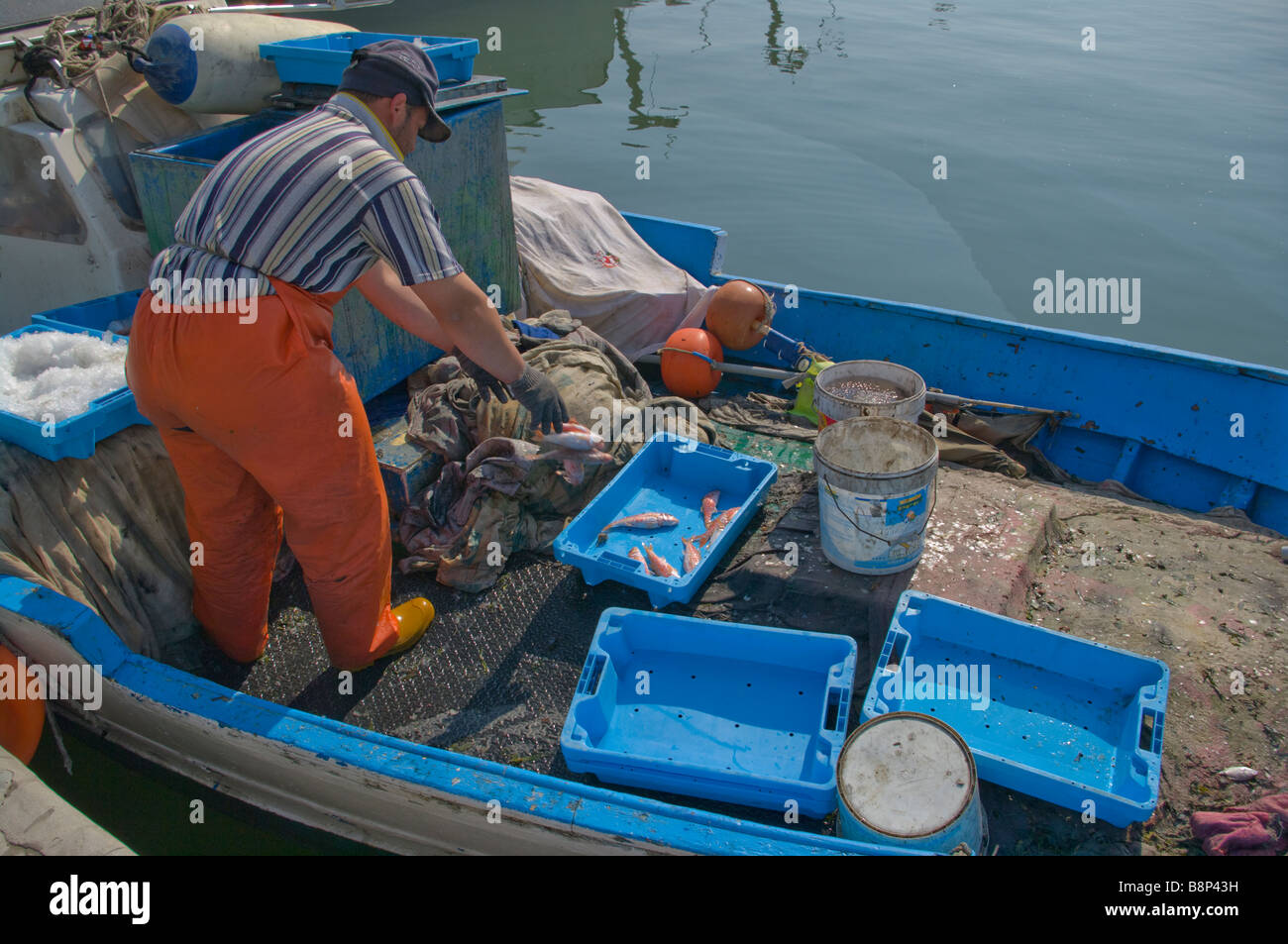 Spanish Fisherman Sorting Out His Fish Catch On His Boat Santa Pola