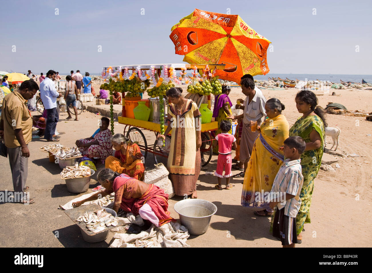 India Tamil Nadu Chennai beach fish market small roadside stall selling freshly caught seafood