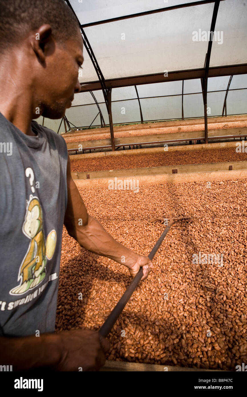 Cocoa processing factory, Dominican Republic Stock Photo Alamy