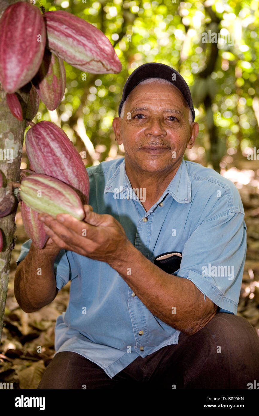 Cocoa farmer, Dominican Republic Stock Photo