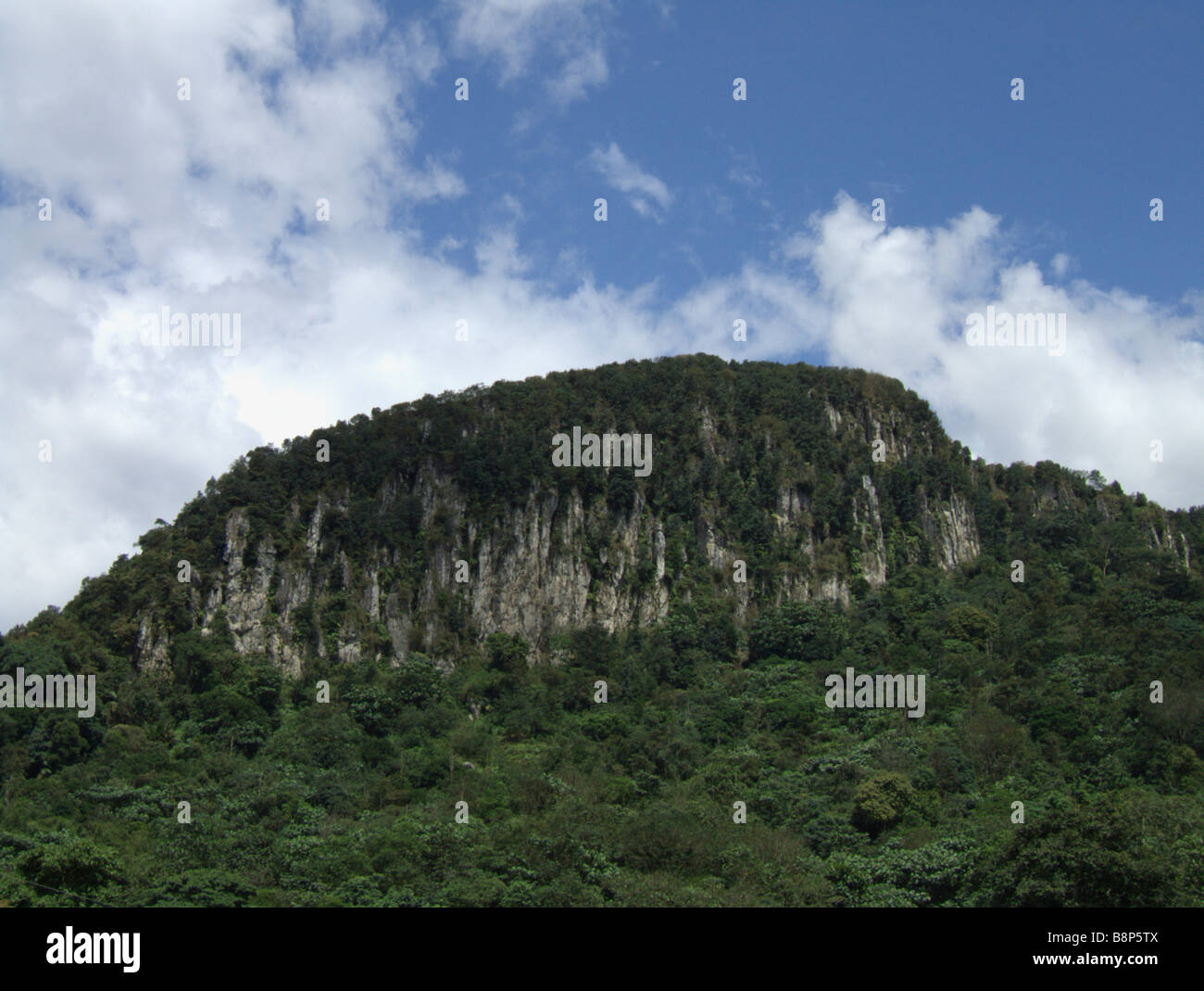 bukit tabur quartz ridge  Malaysia Stock Photo