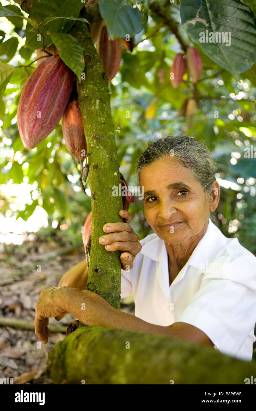 Cocoa farm dominican republic hires stock photography and images Alamy
