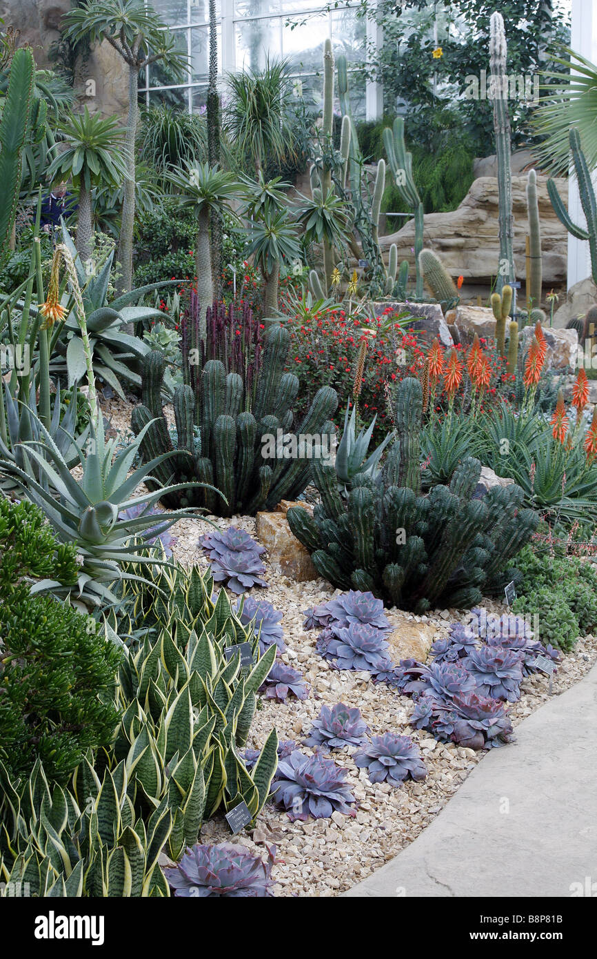 DRY TEMPERATE ZONE IN GLASSHOUSE AT RHS WISLEY GARDEN UK Stock Photo