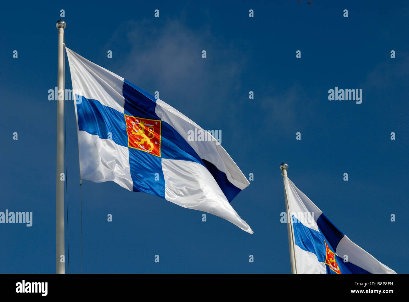 Two Finnish state flags are flying at the Kalevala day. The Kalevala is