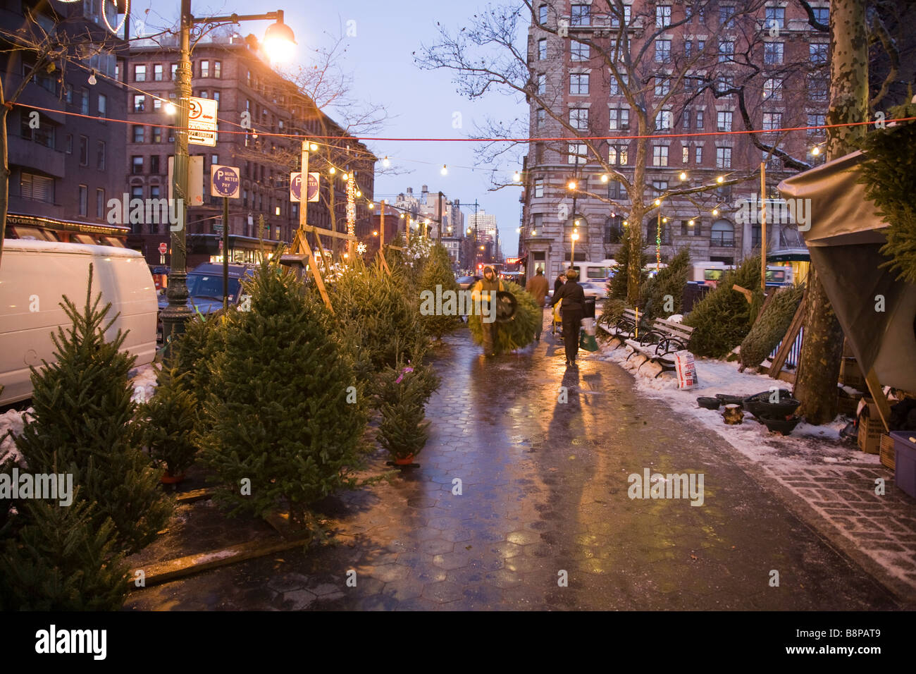Christmas trees for sale in uptown Manhattan, New York City Stock Photo