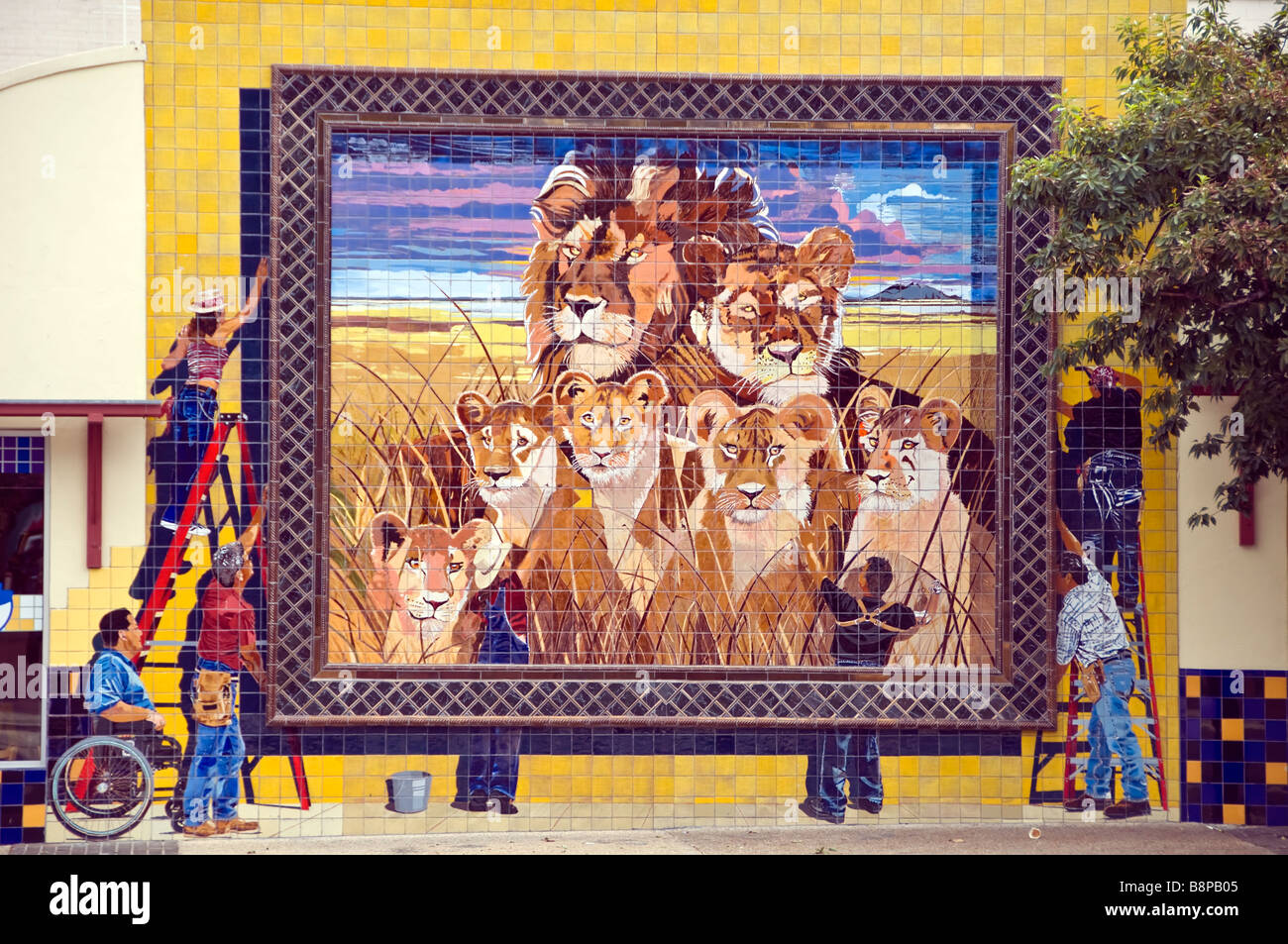 Outdoor mural art San Antonio Texas shows workers hanging mural of African lion pride Stock Photo