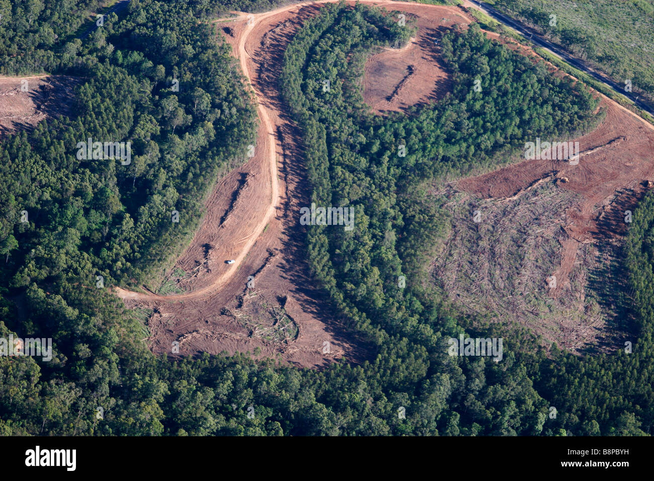 deforestation Stock Photo