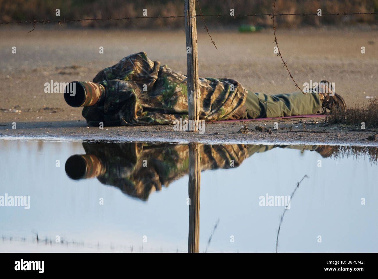 camouflaged photographer in action on a pond in the national park of Circeo in Italy Stock Photo