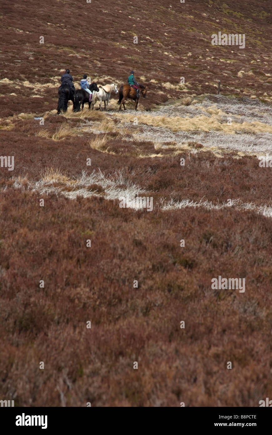 The glenlivet hires stock photography and images Alamy