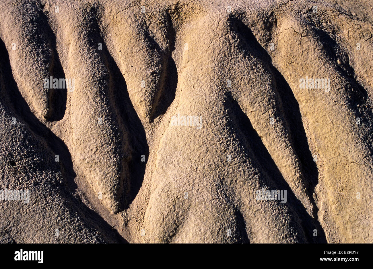 Sand erosion detail hi-res stock photography and images - Alamy