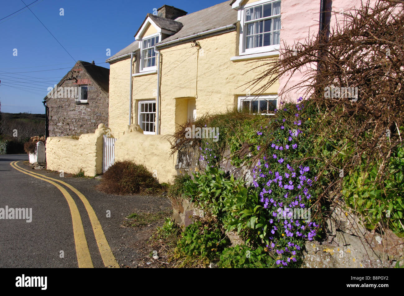 Pembrokeshire cottage St Davids Stock Photo Alamy