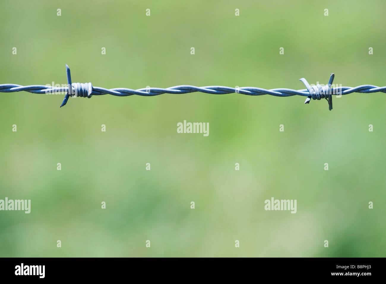 Close Up Shot Of Barbed Wire High Resolution Stock Photography and