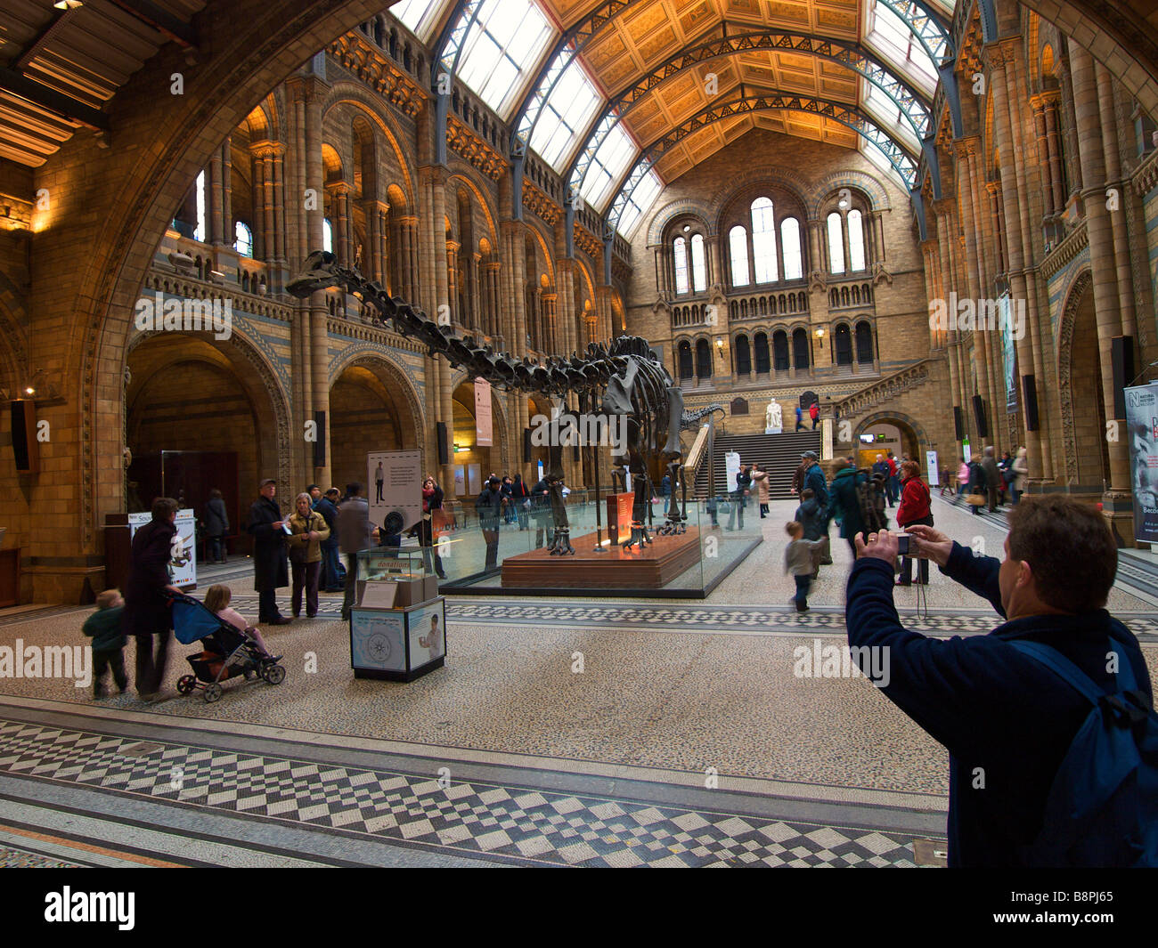 Visitor taking a picture of the Diplodocus skeleton in the central hall of the Natural History Museum London UK Stock Photo