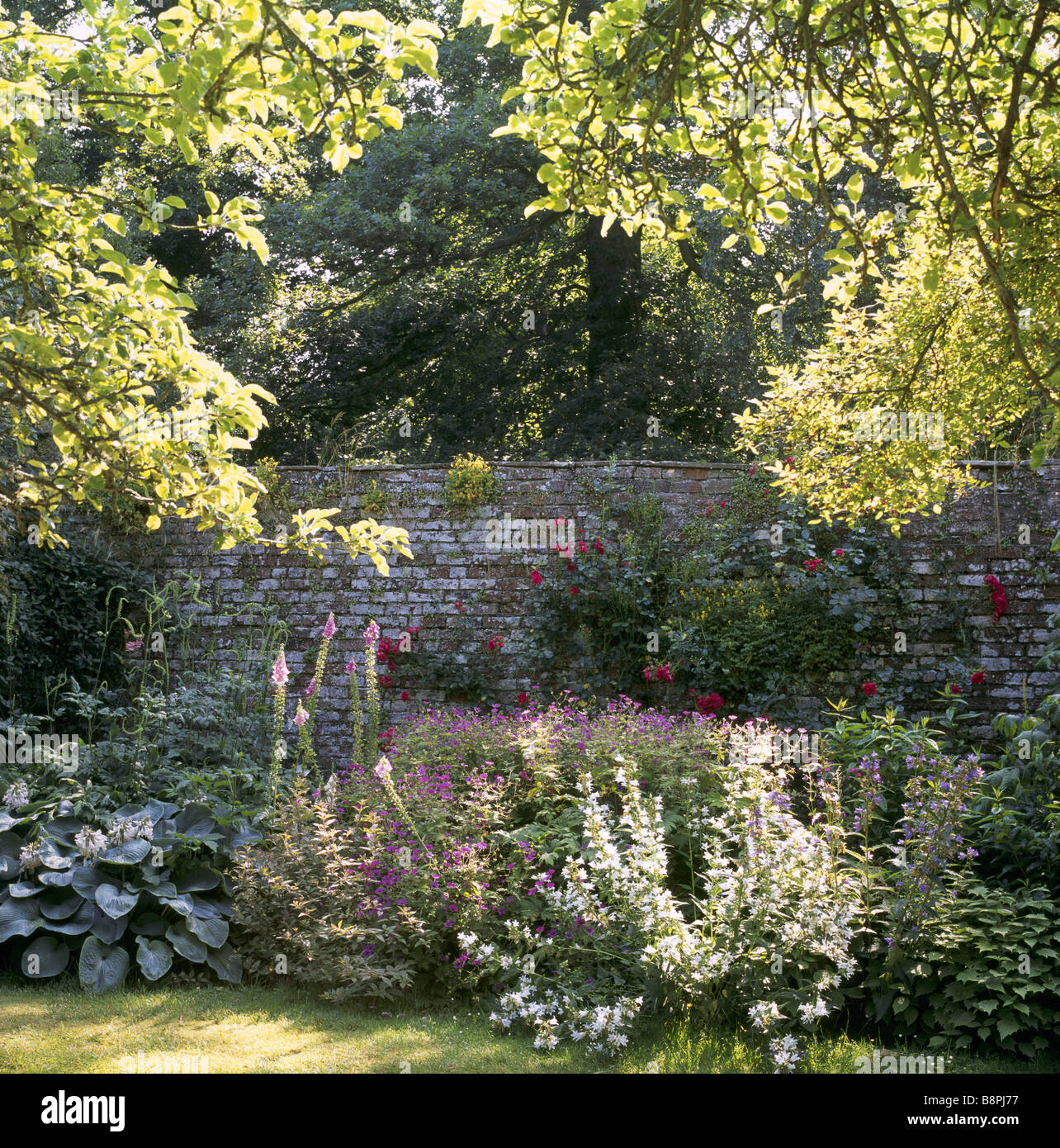 Walled garden with variety of flowers and shrubs at Acorn Bank Cumbria Stock Photo
