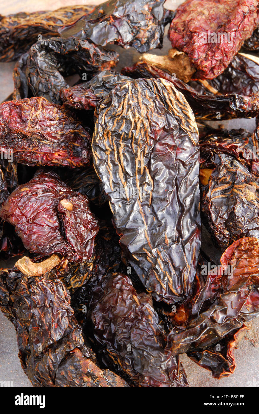 Chipotle 'Moritas'. Dried, smoked jalapeno chillies used to add a smoky heat to Mexican and TexMex dishes. Stock Photo