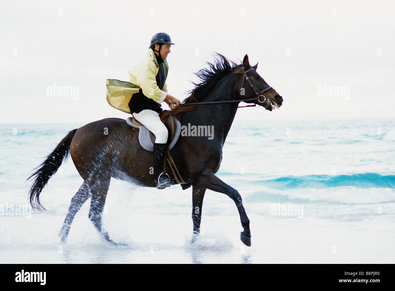 Man riding horse on beach Stock Photo - Alamy