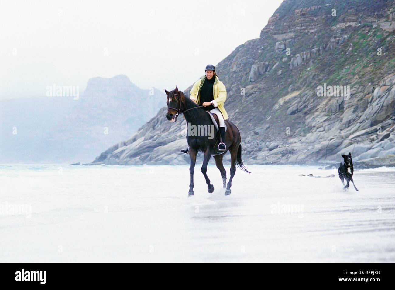 Man riding horse on beach Stock Photo - Alamy