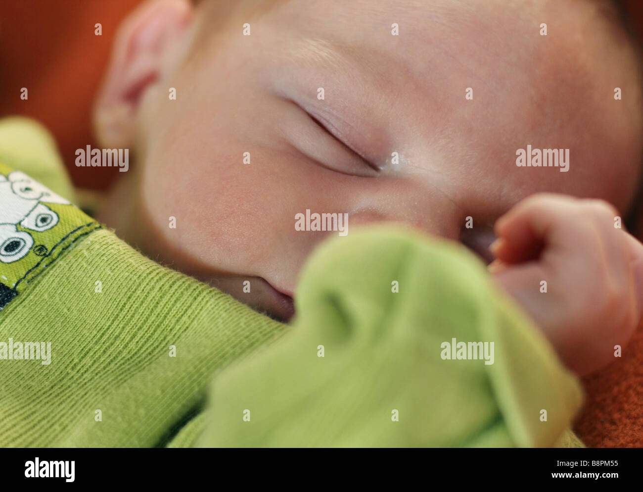 two week old baby is sleeping Stock Photo Alamy