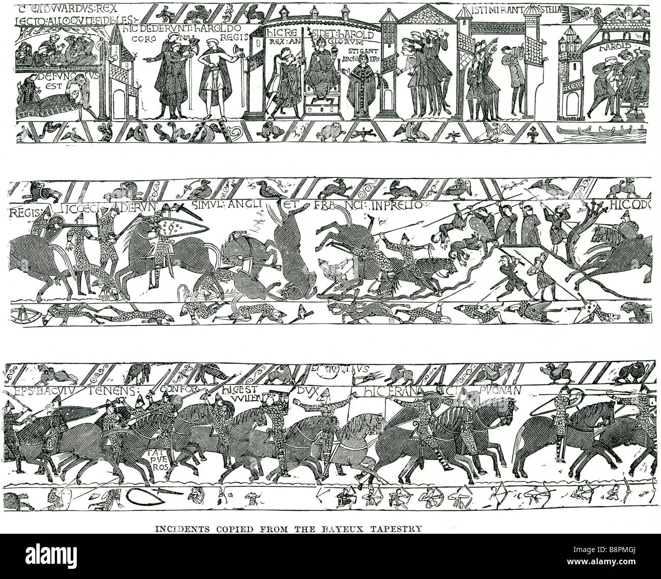 incidents copied from the bayeux tapestry The Bayeux Tapestry (French: Tapisserie de Bayeux) is a 50 cm by 70 m (20 in by 230 ft Stock Photo