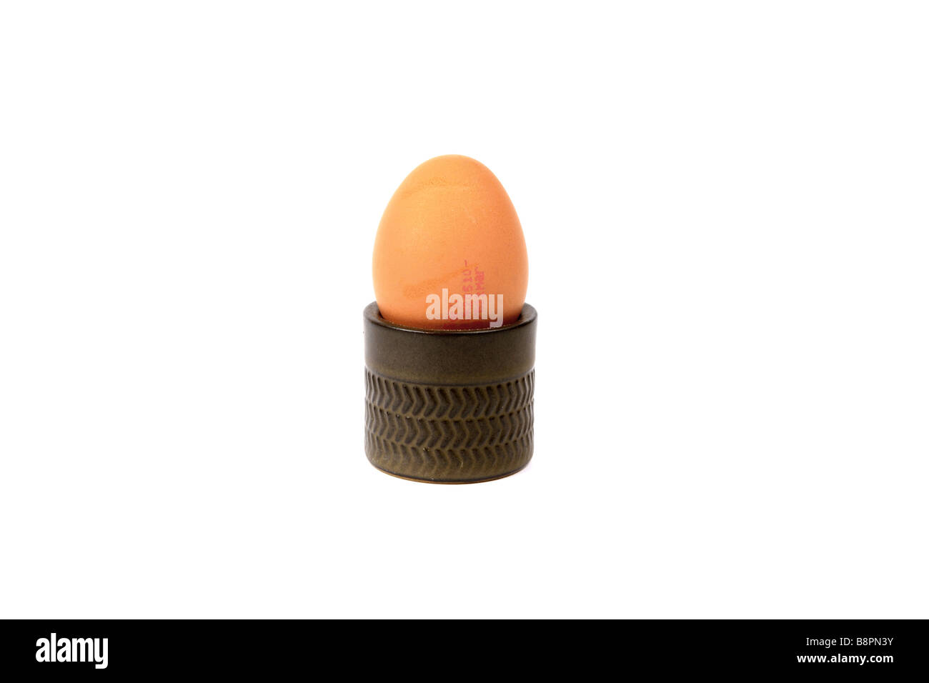 One brown egg in an egg cup against a white background Stock Photo