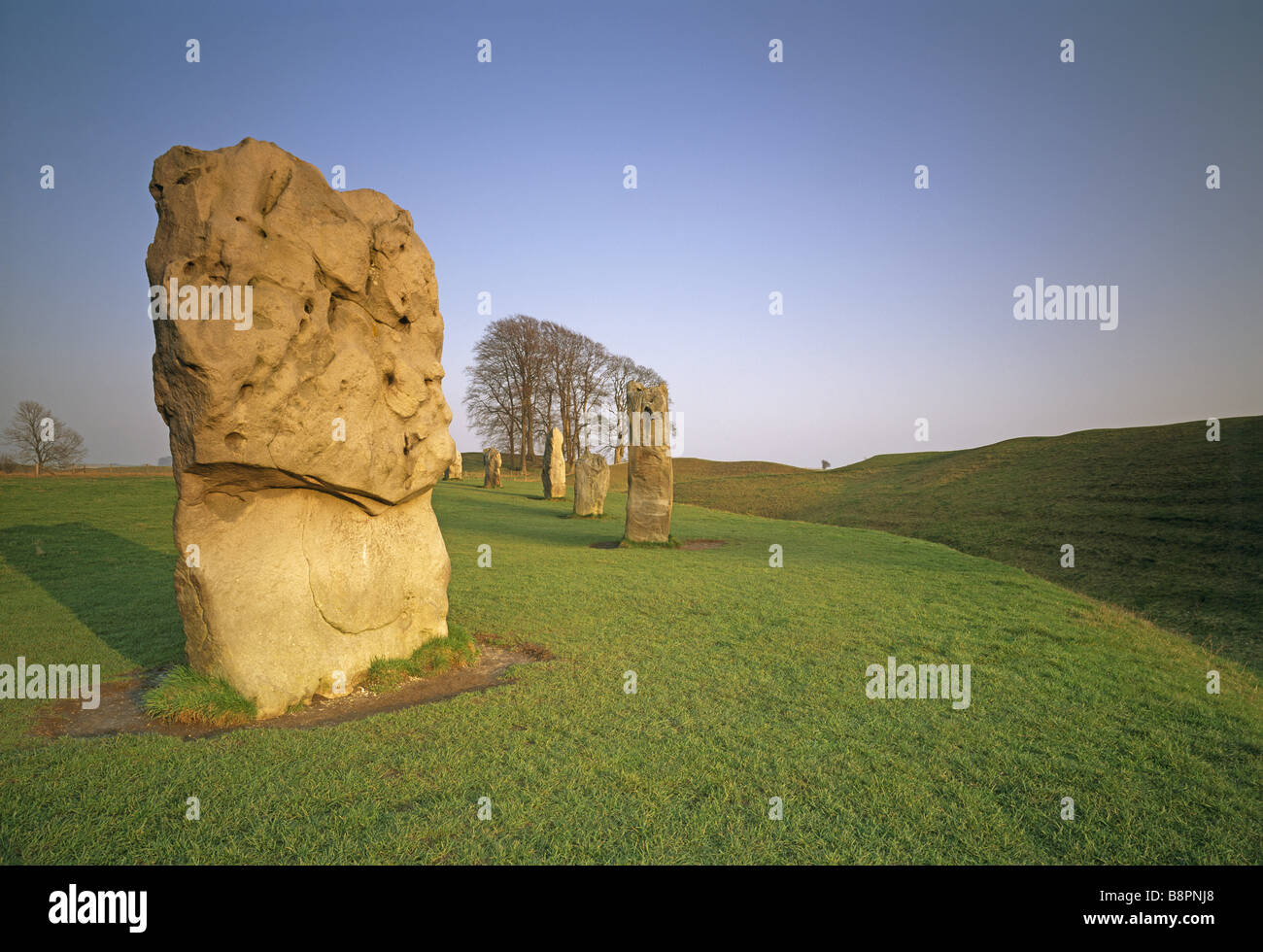 Close up of some of the stones of Avebury Circle Stock Photo