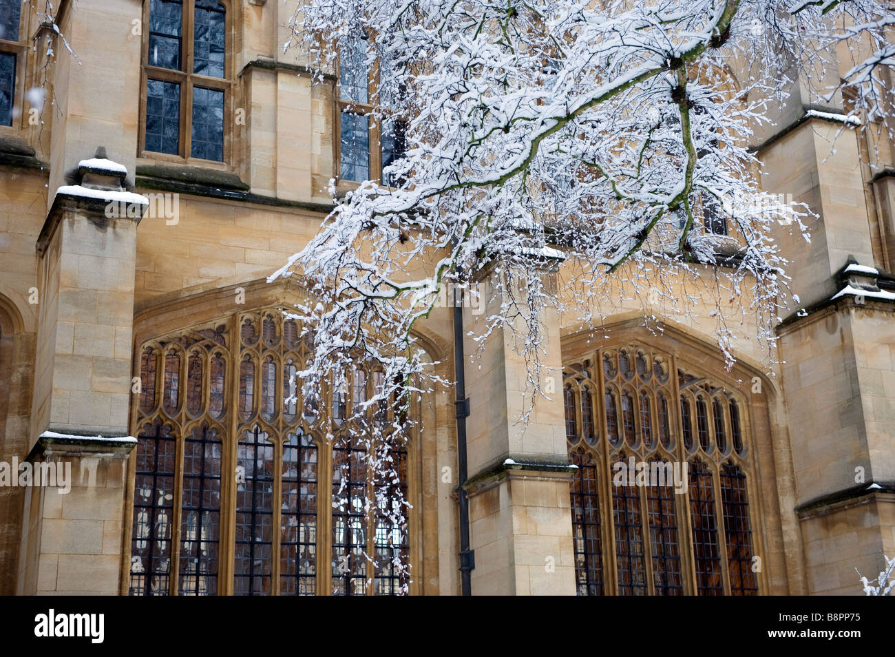 Snow covered trees outside Divinity School at Oxford University Stock Photo