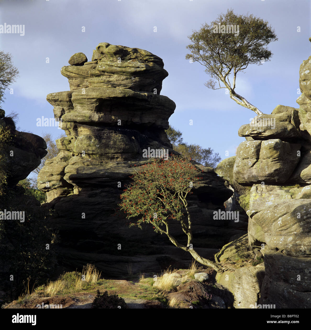 Birhamd Rocks A view of Turtle Rock from Castle Rocks at Brimham Rocks North ...