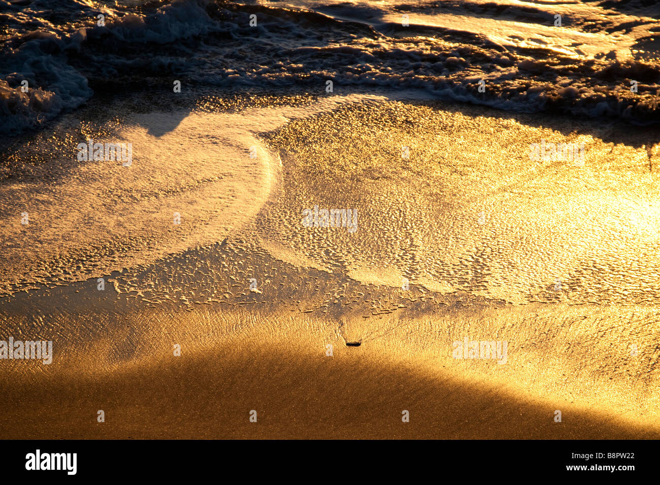 Retreating water with golden light reflected off the sand and water ...