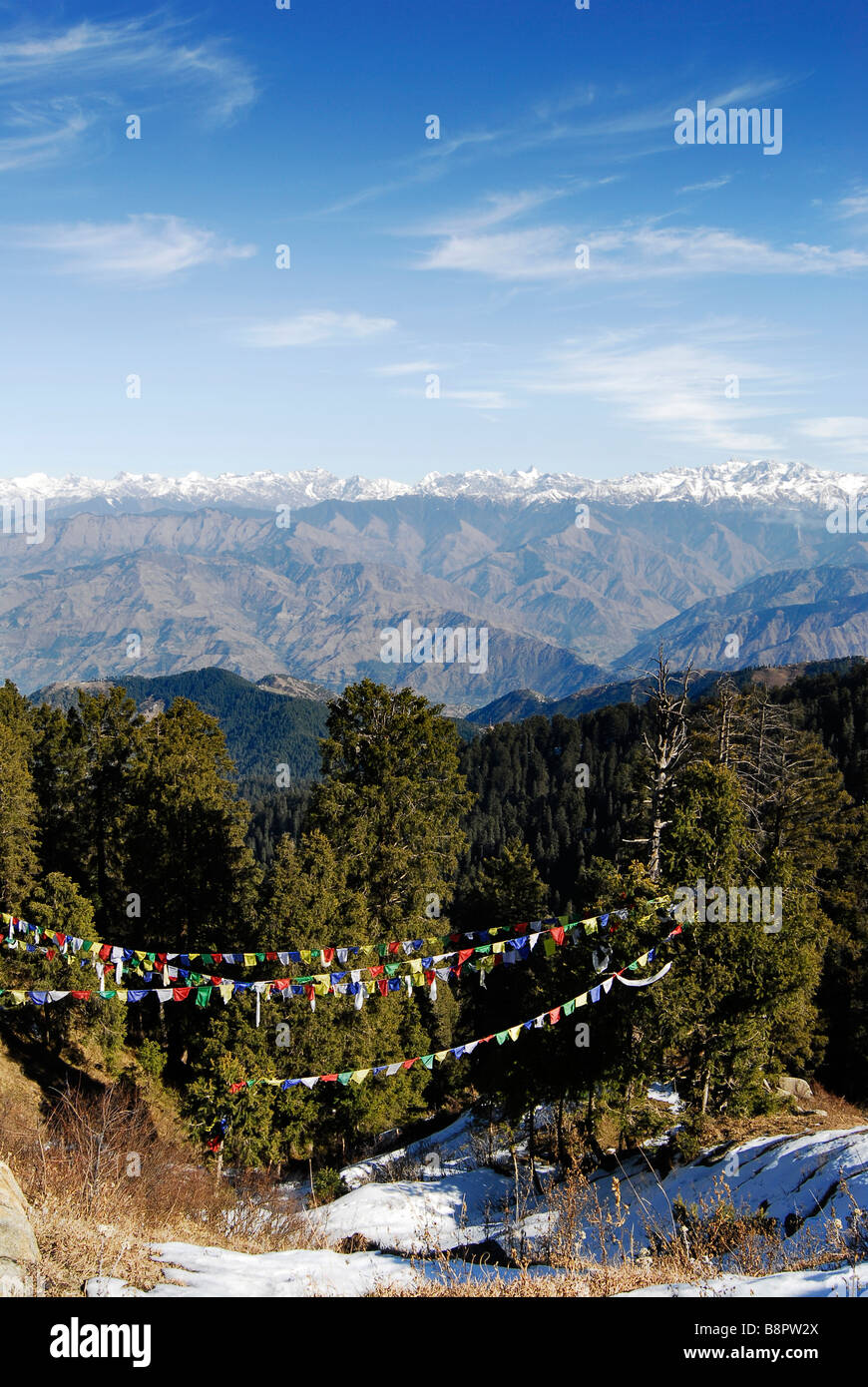 Tibetan prayer flags fly in the breeze with the Himalaya's in the background, Dalhousie, Himachal Pradesh, India Stock Photo