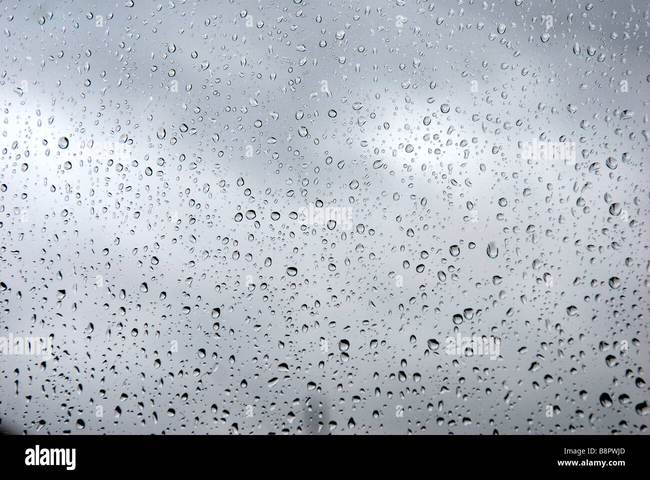 Raindrops Window. Stock Photo