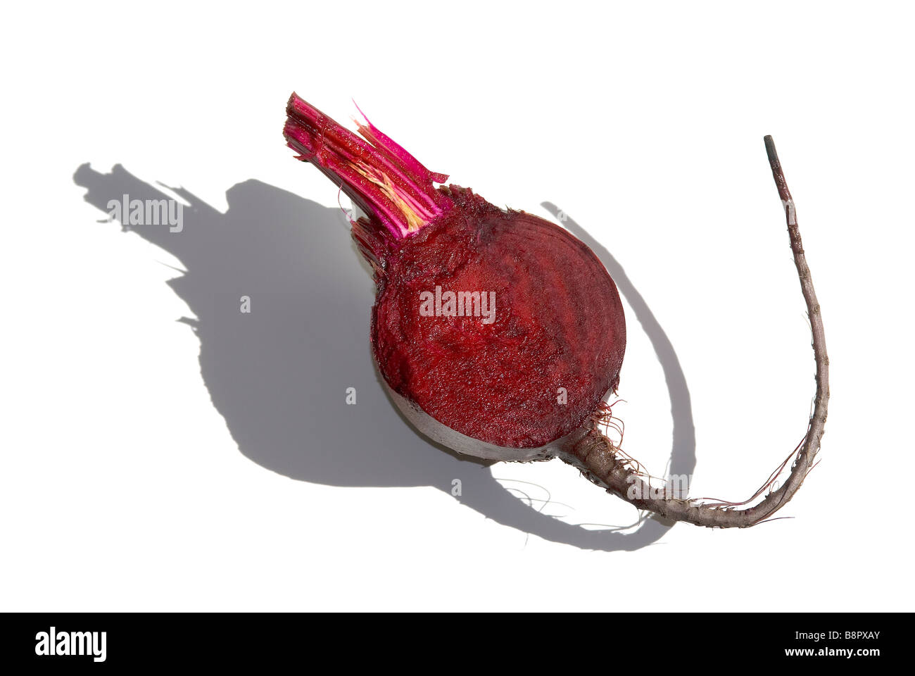 red root vegetable, red beet, cross-section, against a white background Stock Photo