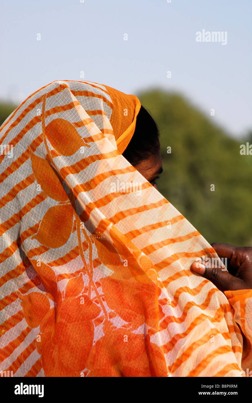 Woman in sari, Rajasthan, India Stock Photo - Alamy