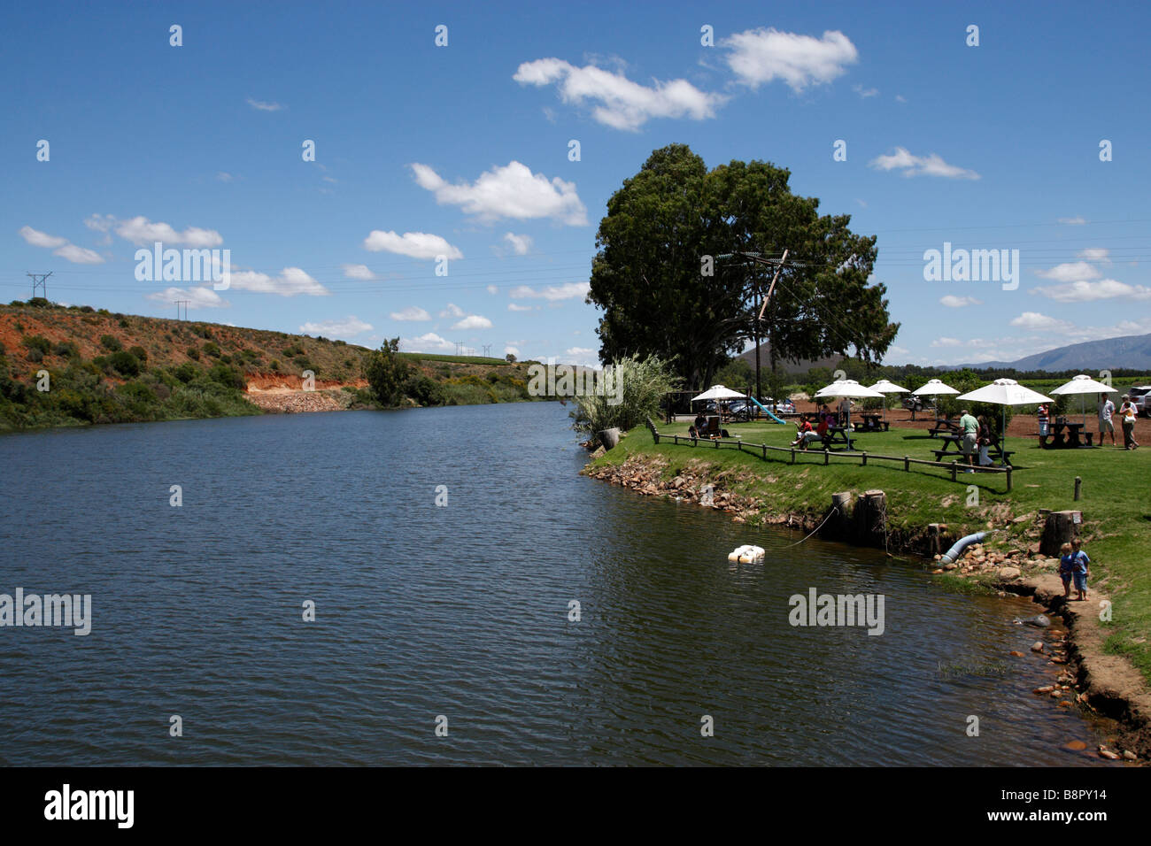 looking towards the viljoensdrift winery beside the river breede