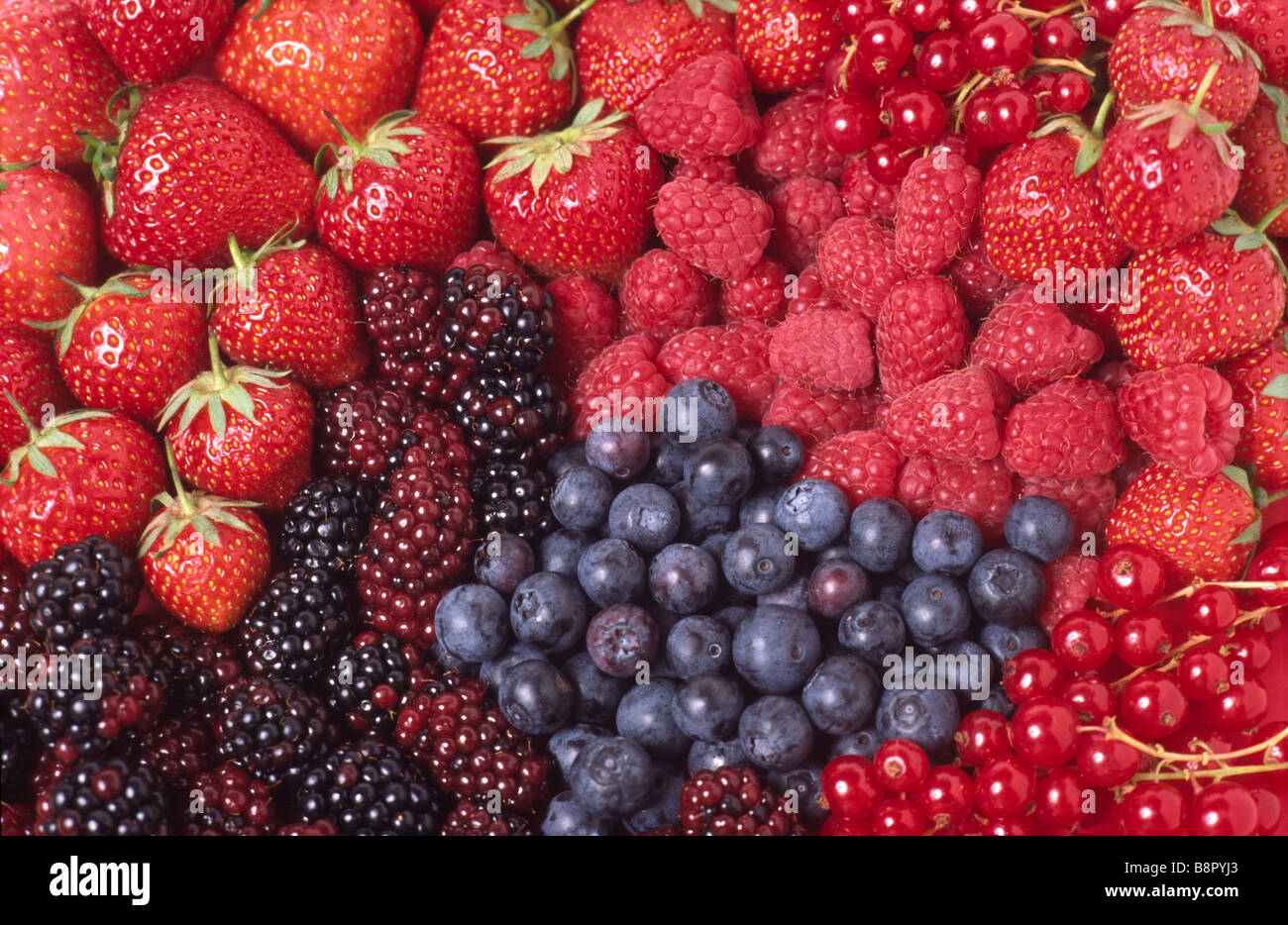 Summer Fruit Stock Photo