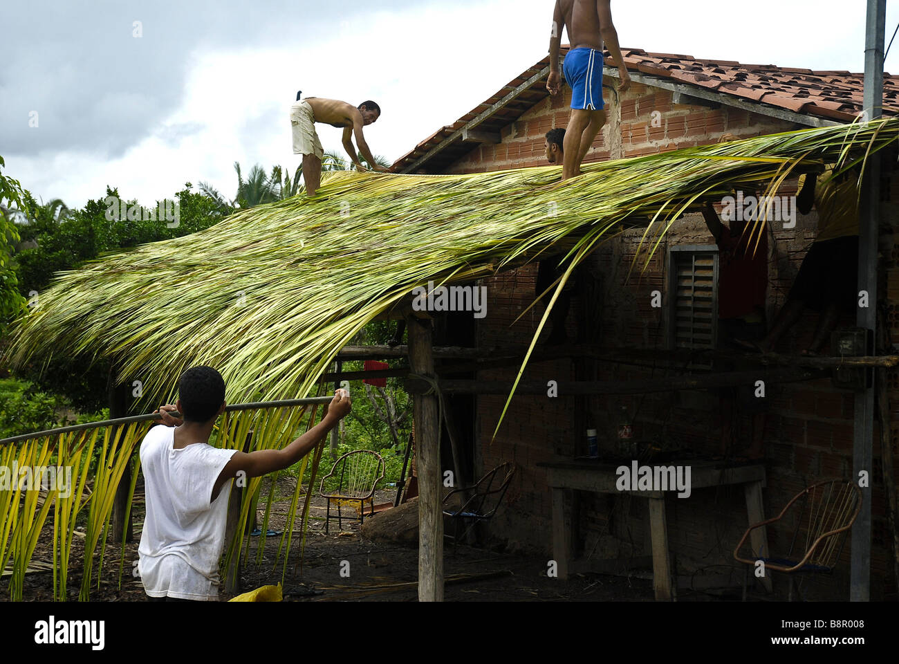 Constructing house with babaçu tree leaves Stock Photo
