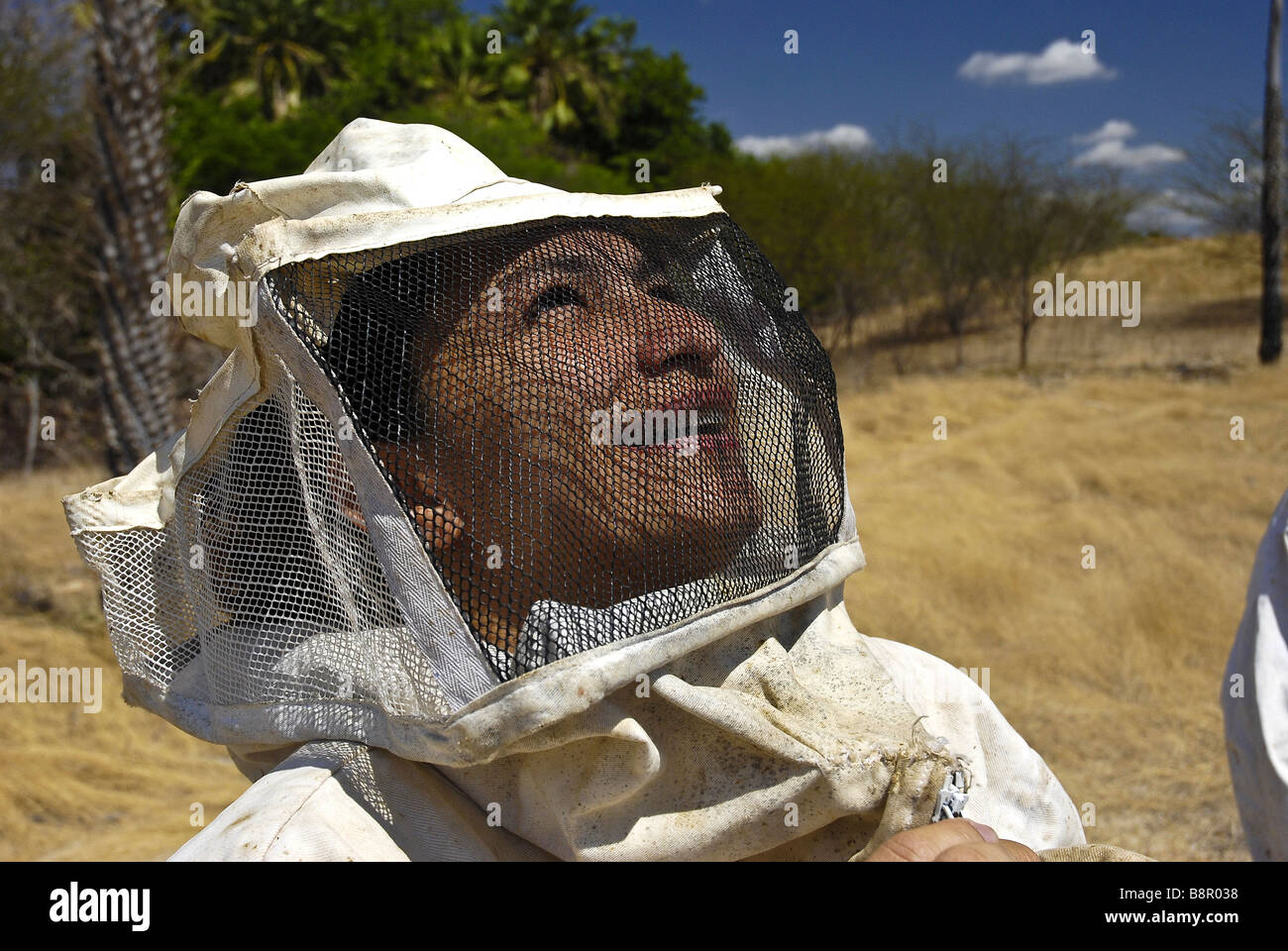 Apiculture Rio Grande do Norte State Brazil Stock Photo
