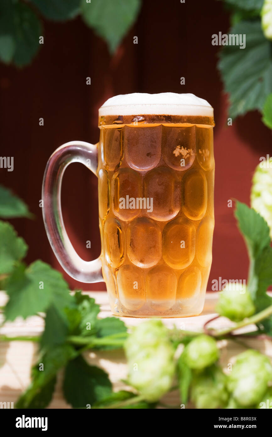 Cold beer in glass and hops in background. Stock Photo