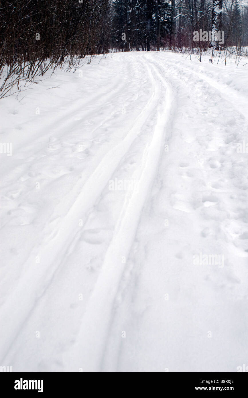 Country ski track in forest closeup. Stock Photo