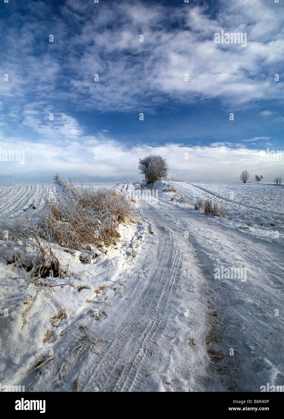 Winter landscape near Mragowo, Warmian Masurian Lake District Province, Poland Stock Photo