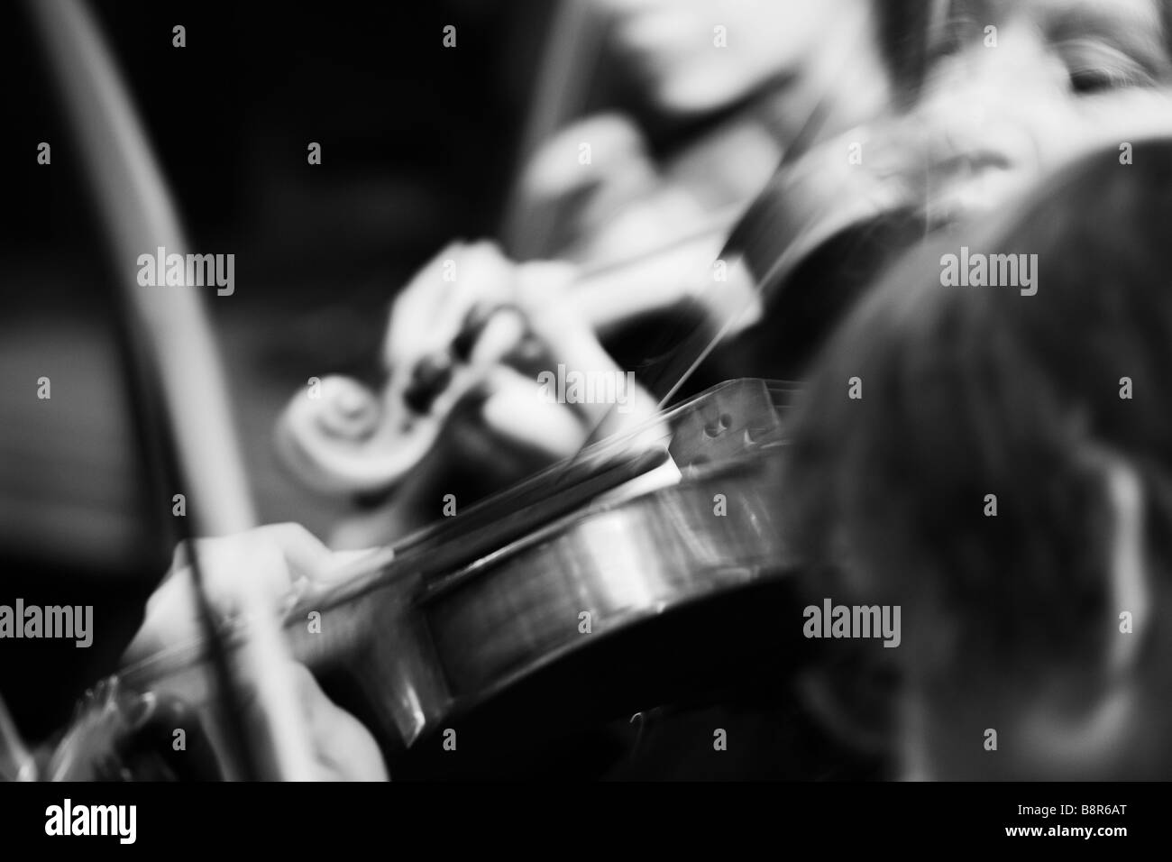 Black and White, Violin, Orchestra, Music, Sound, Instruments Stock Photo
