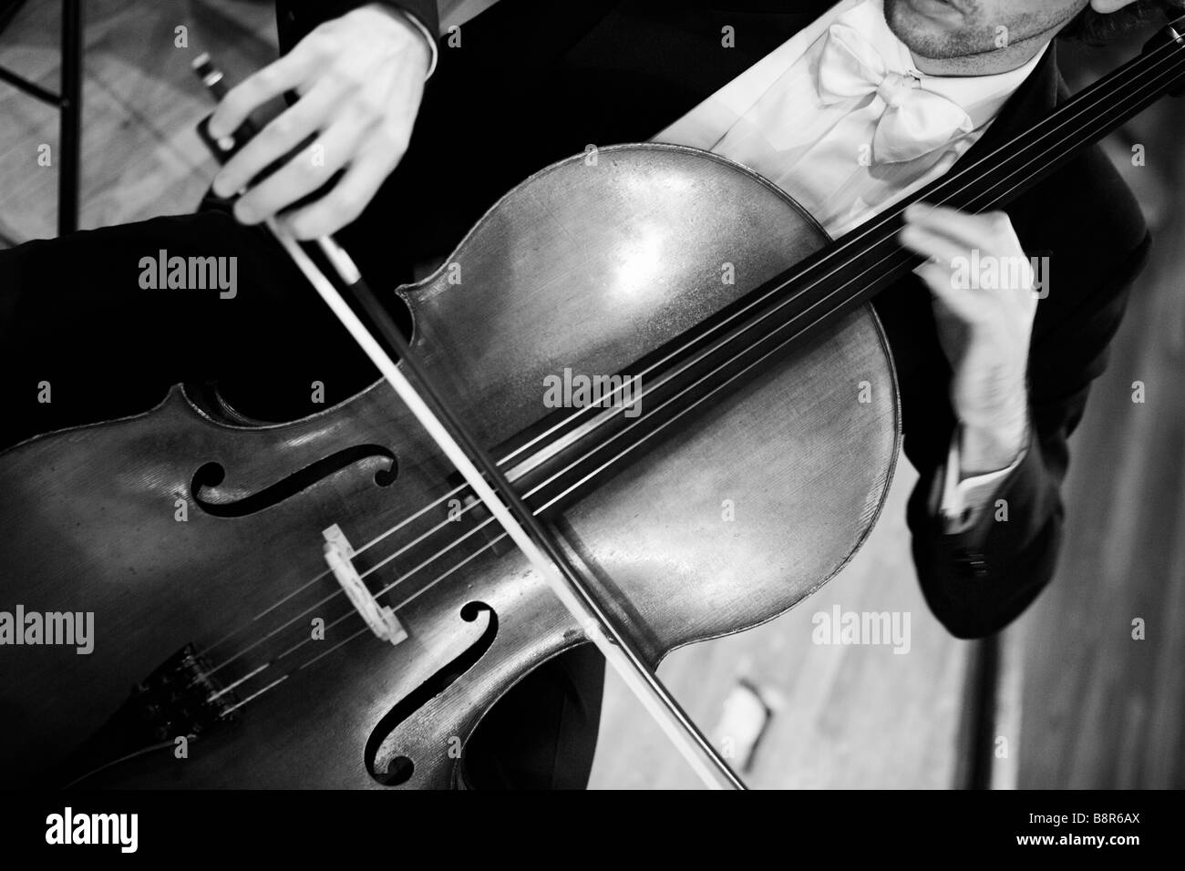 Black and White, Viola, Cello, Orchestra, Music, Sound, Instruments Stock Photo