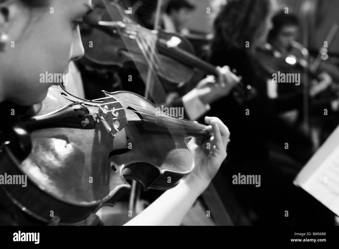 Black and White, Violin, Orchestra, Music, Sound, Instruments Stock Photo