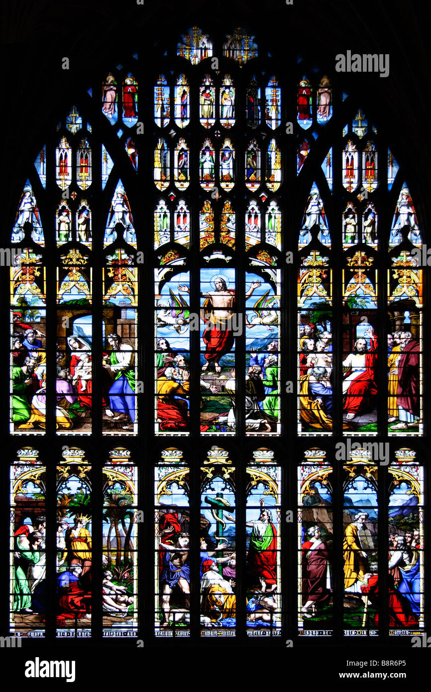 Stained glass window Norwich Cathedral Stock Photo Alamy